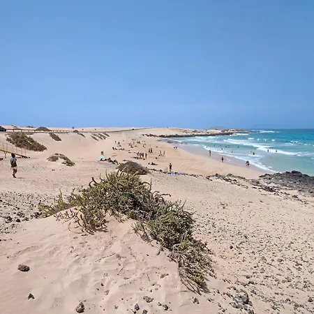 Dunes To Explore And Relax Wifi Apartment *